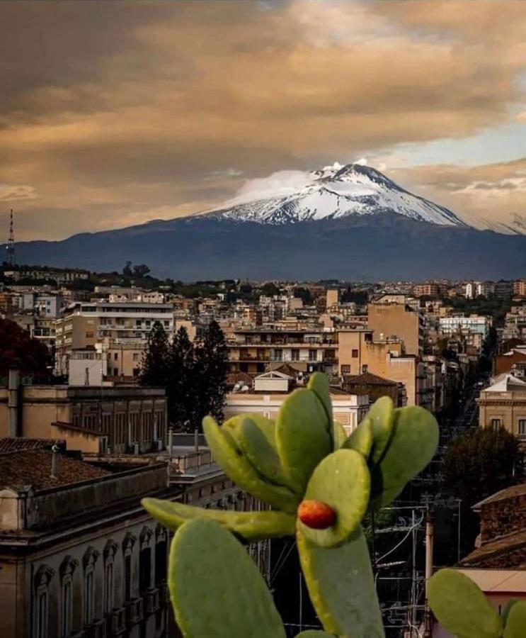 Catania Apartment Borgo Suite Autonomous ภายนอก รูปภาพ